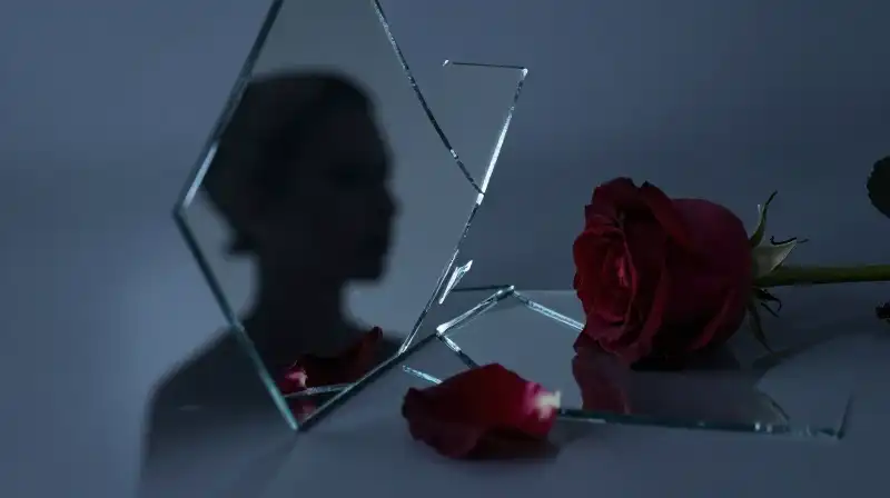 A fractured silhouette reflects in shattered glass near a rose