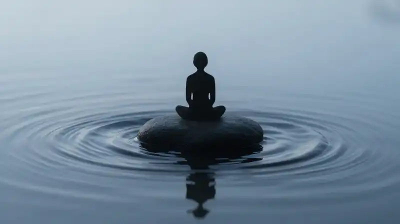 A calm silhouette sits atop a stone in swirling water
