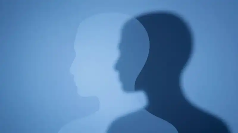 A translucent silhouette split between soft light and sharp shadows