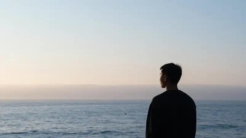 A lone silhouette gazes toward a soft, misty horizon