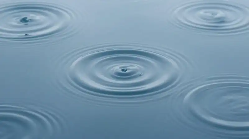 Translucent blue concentric ripples flow in calm, repeating patterns